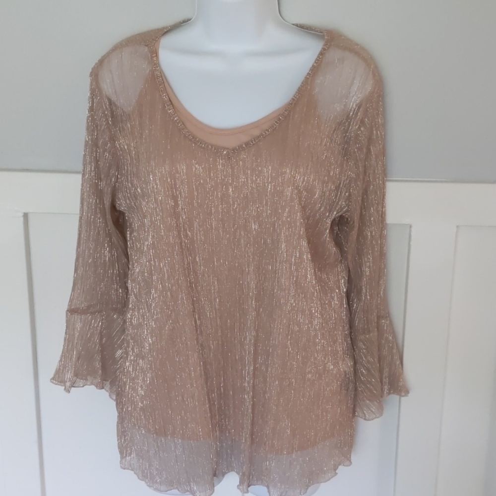 Blush Color Sparkle Top 2 pcs